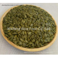 Highest Quality and Healthy Food Pumpkin Seed Kernel